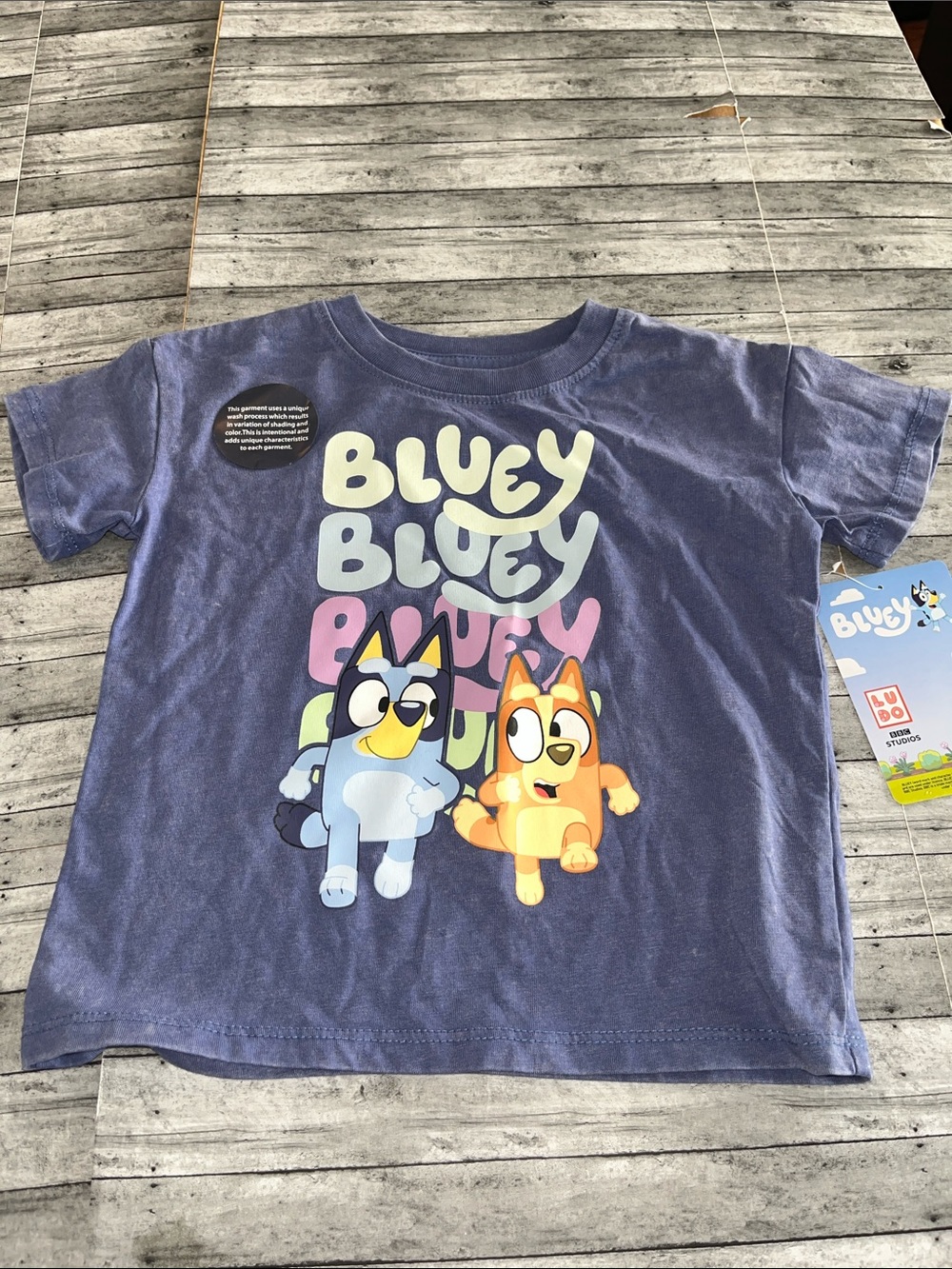 Bluey Graphic Tee with Characters